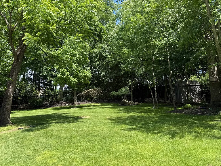 Spacious Backyard