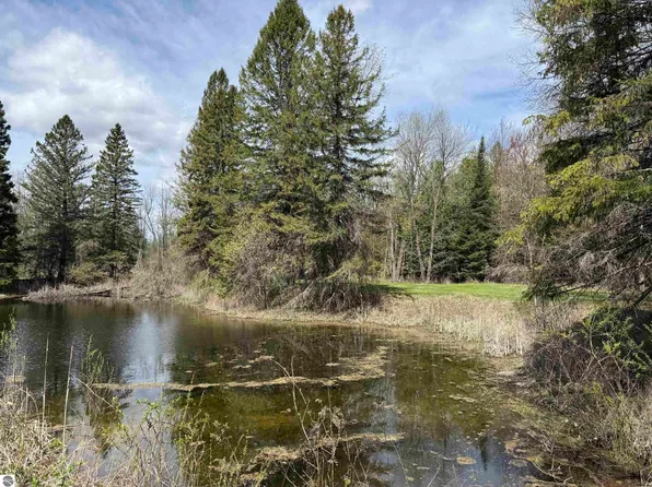 0 S M #65, Turner, MI 48765
