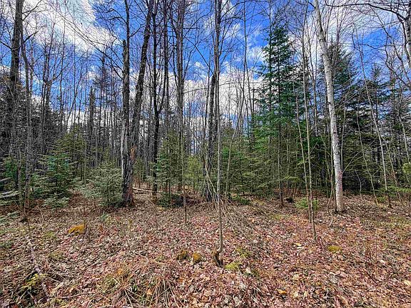 3rd image of Lot 4 Oregon Road