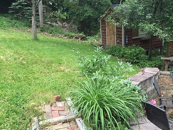 Side yard and woods