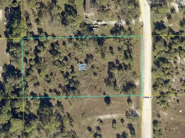 540 S CORAL STREET LOT 4285, CLEWISTON, FL 33440