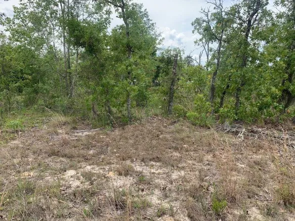 0 Monroe Street, Interlachen, FL 32148