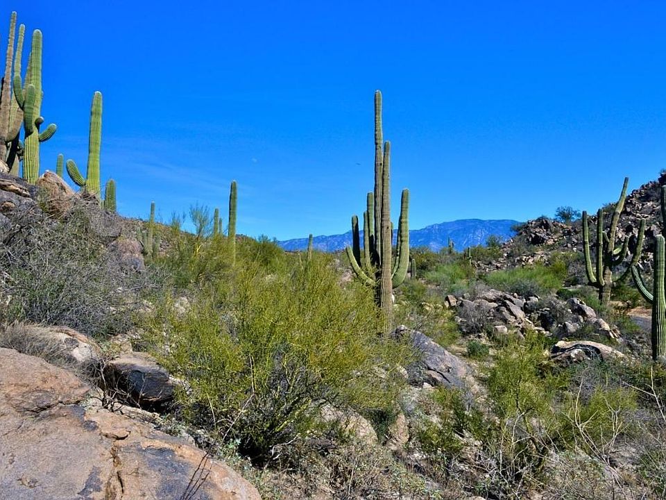 1st image of 1141 W Tortolita Mountain Cir