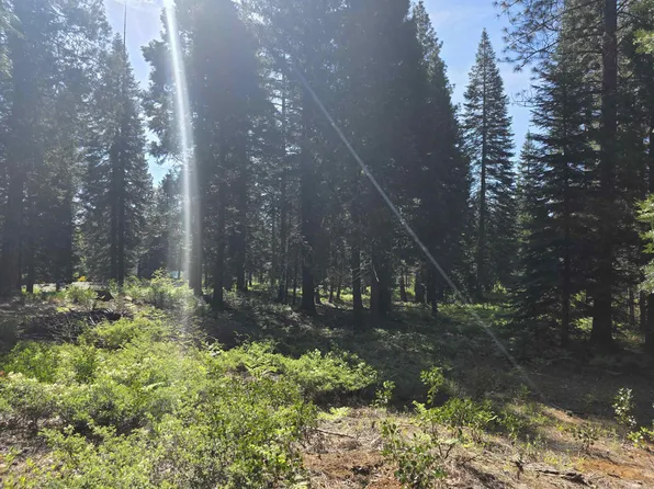 LOT 58 Old Mill Rd, McCloud, CA 96057