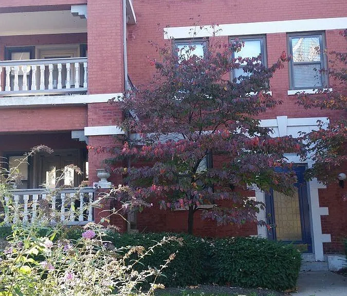 5592 Waterman Blvd #3B — Photo 10