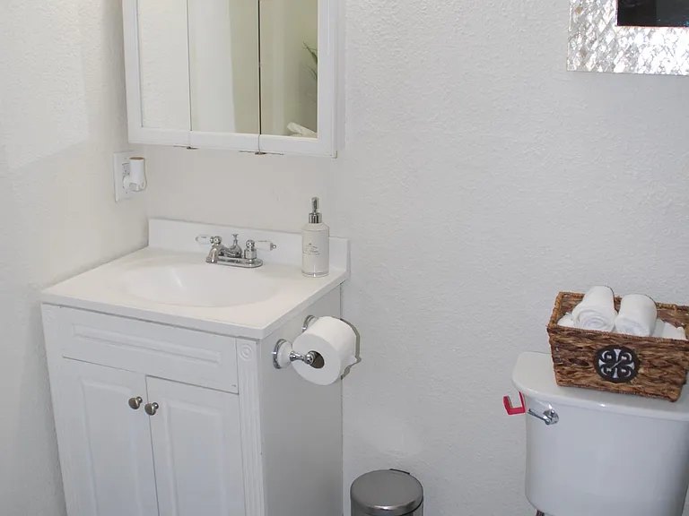 Downstairs bathroom with shower