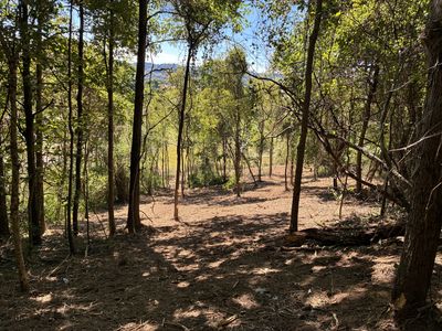 1915 Sedberry Rd, Thompsons Station, TN, 37179