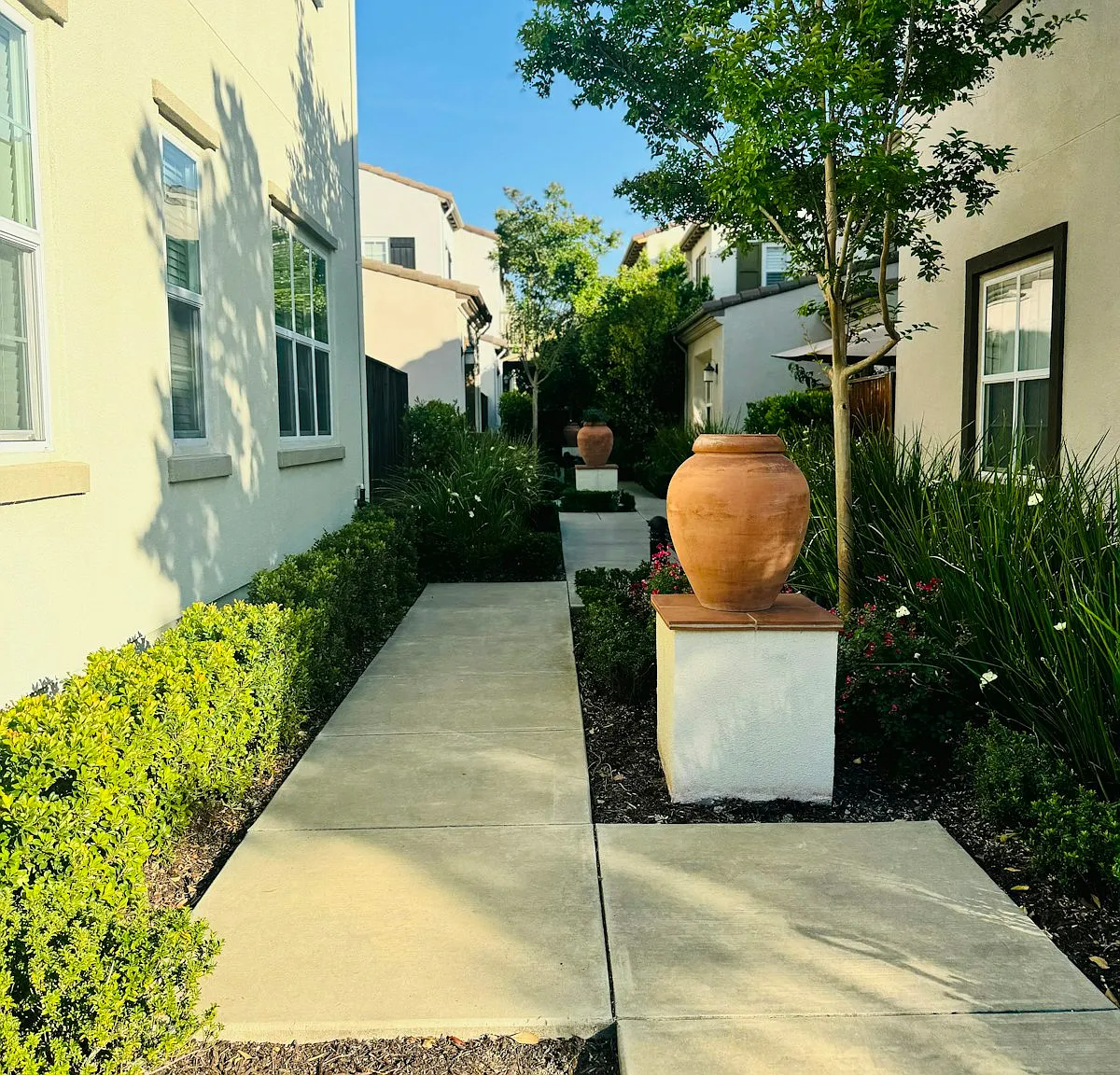3026 Blackberry Avenue — Photo 2