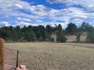 382 Arrowhead Dr, Florissant, CO 80816