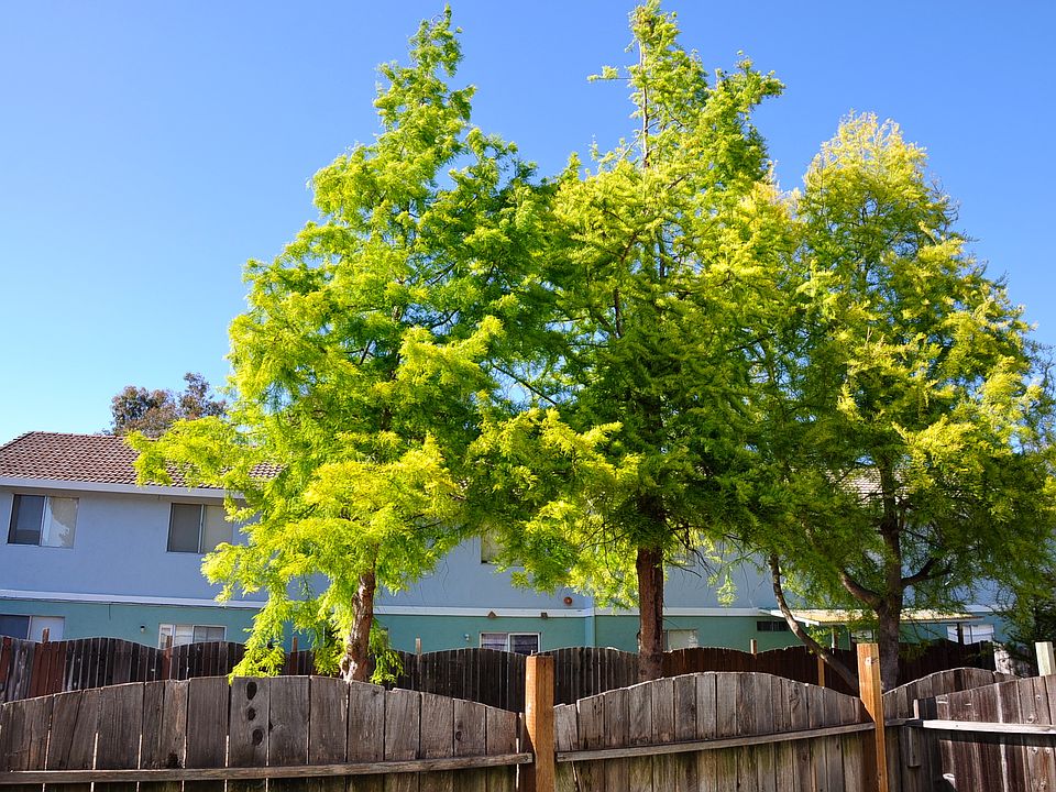 2nd image of 170 Santa Alicia Dr APT 12
