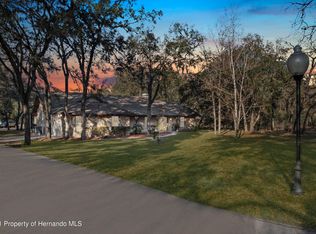 12345 Centralia Rd, Weeki Wachee, FL 34614