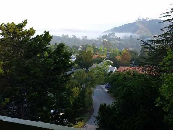 View from deck/kitchen