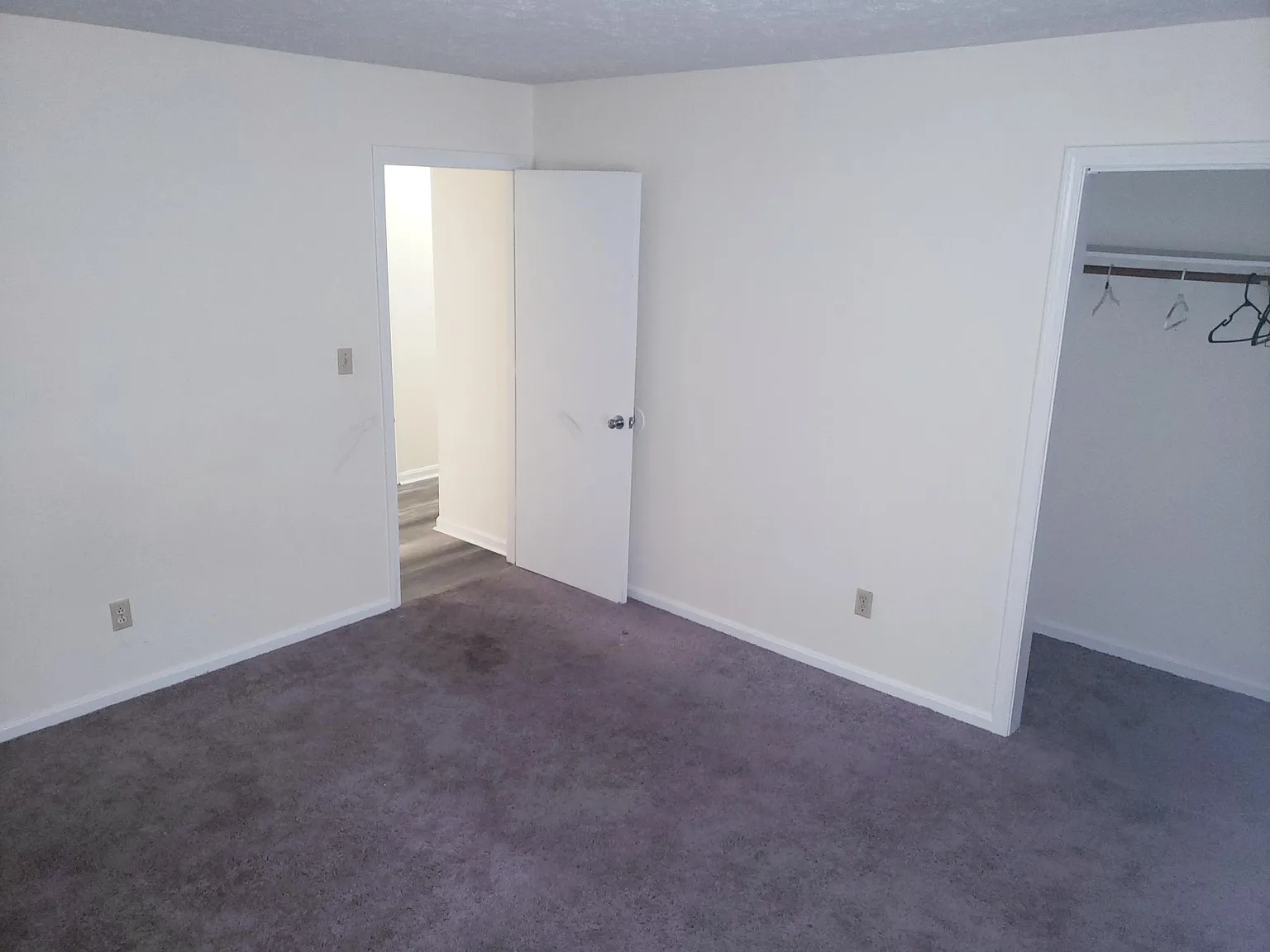 251 Shelby Ave — Photo 2