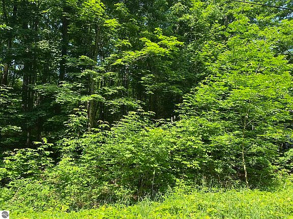 2nd image of LOT 72 Birch View Trl