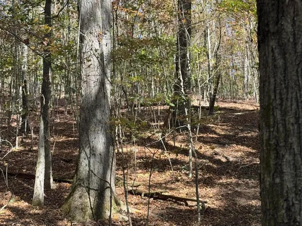 Irene Ln, Loudon, TN 37774