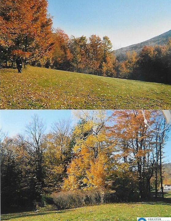 2nd image of Pantherlick Rd