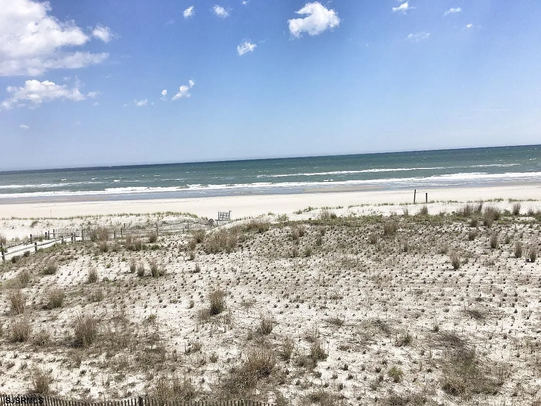 1 bed, 1.0 bath, $7,500 — Photo 2