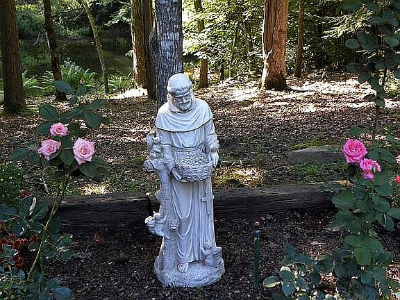 St. Francis in backyard 