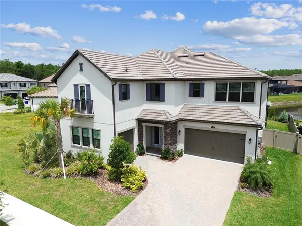 29895 Picana Ln, Wesley Chapel, FL 33543