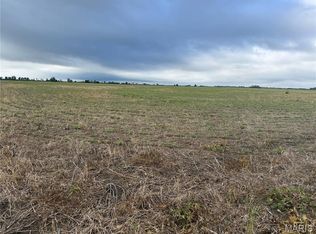 0 County Road 406, Hayti, MO 63851