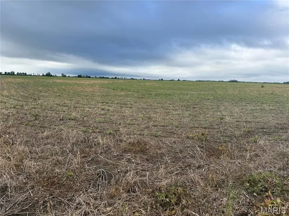 0 County Road 406, Hayti, MO 63851