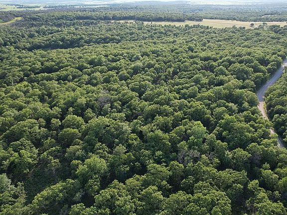 2nd image of State Highway 99