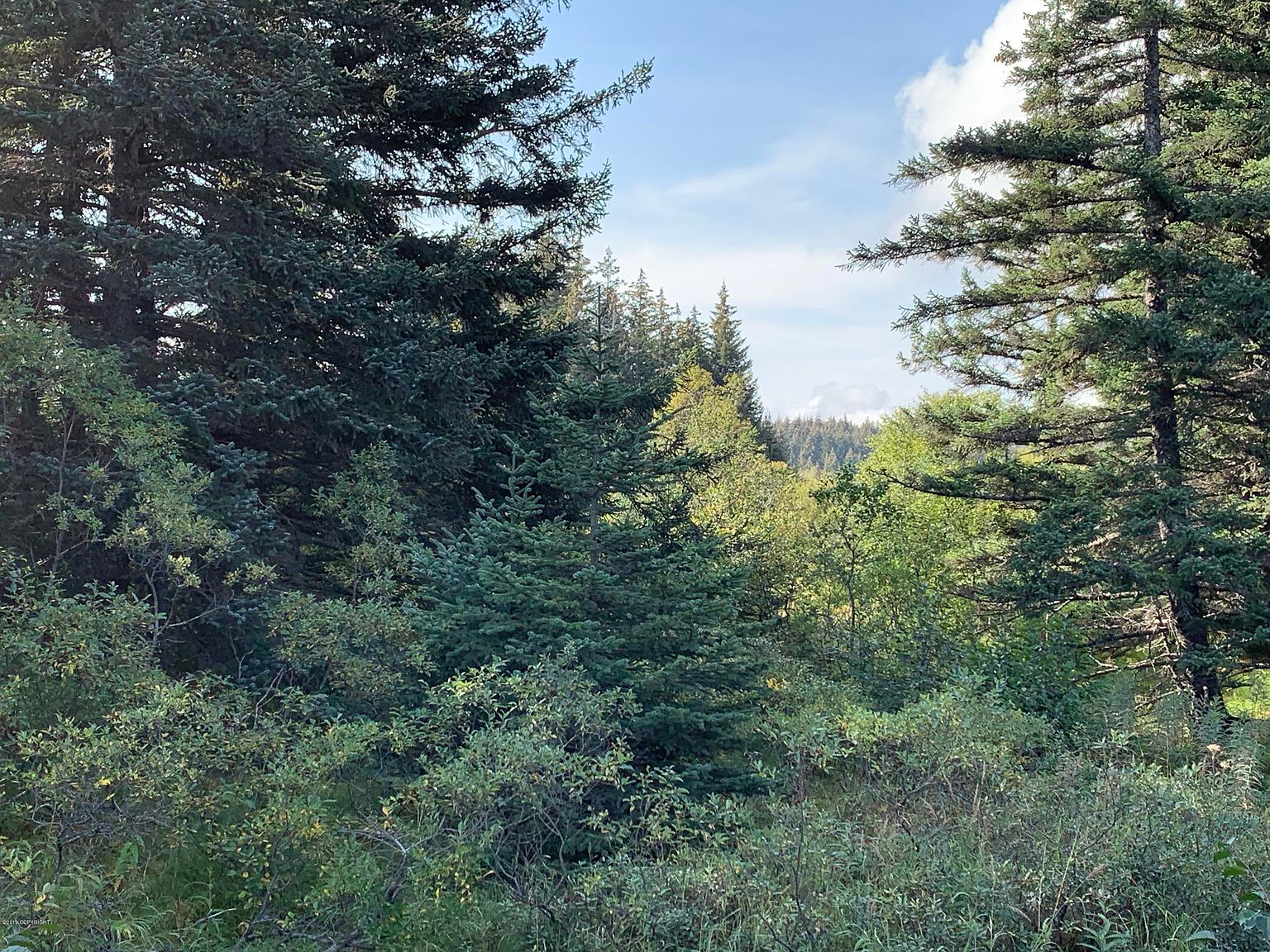 360 Kizhuyak Dr, Port Lions, AK 99550 Zillow