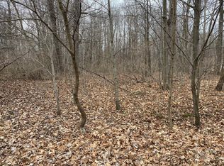 182 E Shore Dr, Stanton, MI