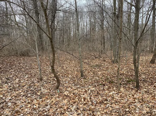 182 E Shore Dr, Stanton, MI 48888
