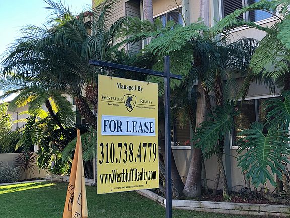 Exterior lush palms and ferns