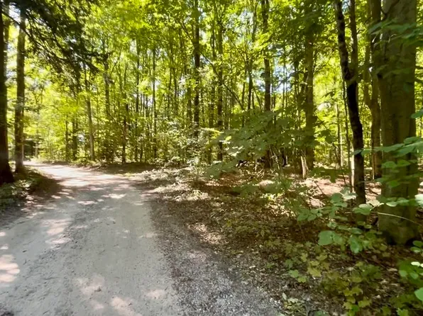 0 Langs Ln, Interlochen, MI 49643