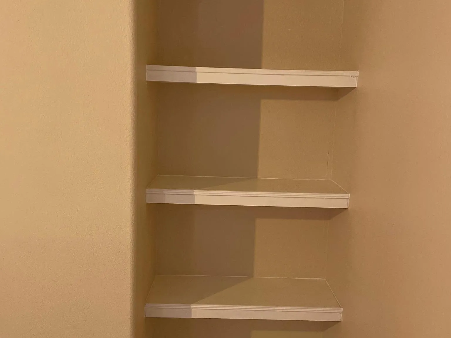 2 bed, 1100 sqft, $1,450 — Photo 3