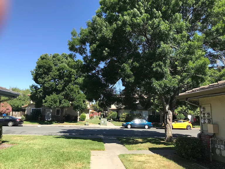 2118 Peppertree Way #4 — Photo 15