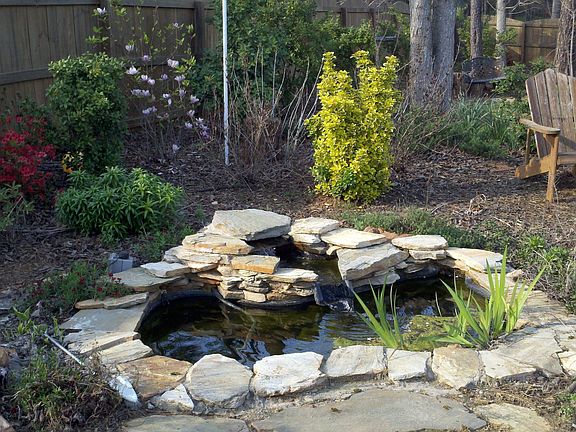 pond