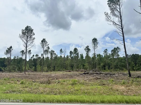 1355 Bill Hooks Rd., Whiteville, SC 28472