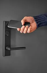 Rented by Artifact.co