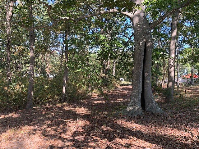 2nd image of 0 Old Springville Rd
