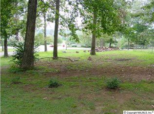 1377 Slaughter Rd, Madison, AL 35758