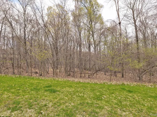 505 Bluebird Trl, Ortonville, MI 48462