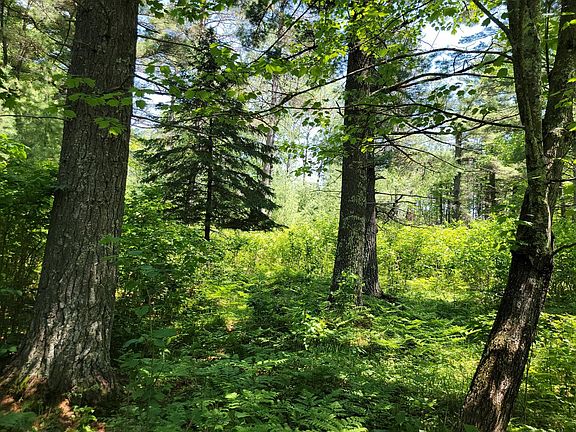 3rd image of Near Wilderness Cir