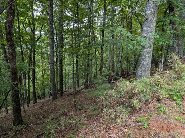 0 Chestnut Hill Dr, Franklin, NC 28734