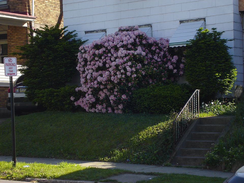 1st image of 2806 Holland St