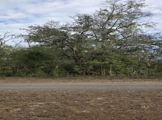 SW 141st Ct Lot 30, Ocala, FL 34481