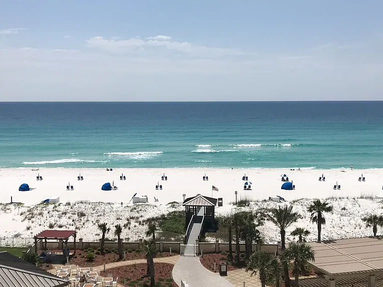 Window View