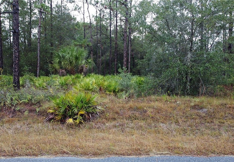 1st image of 11849 W Acacia Dr