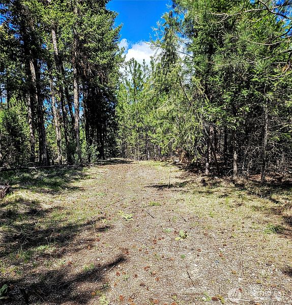 3rd image of 168 Prior Loop Road