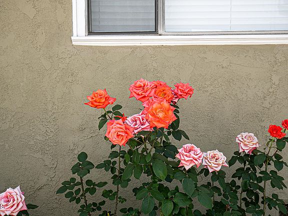 3rd image of 1103 E Orange Grove Blvd