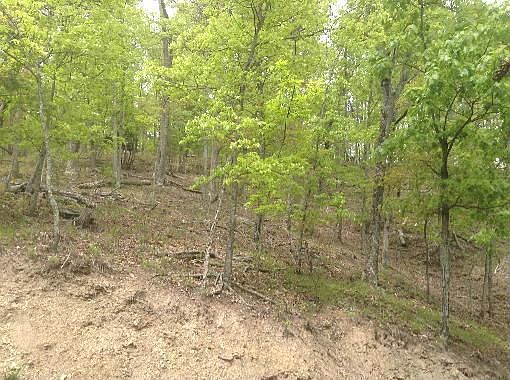 2nd image of 841 Wilderness Dr Lot 5R