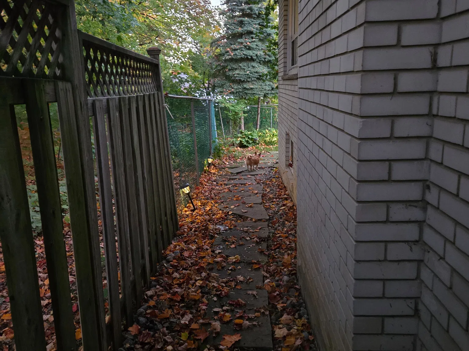 2 bed, $2,300 — Photo 3
