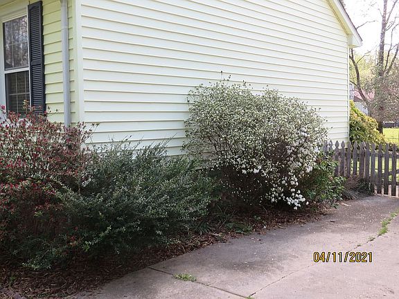 White Azelia next to Drive